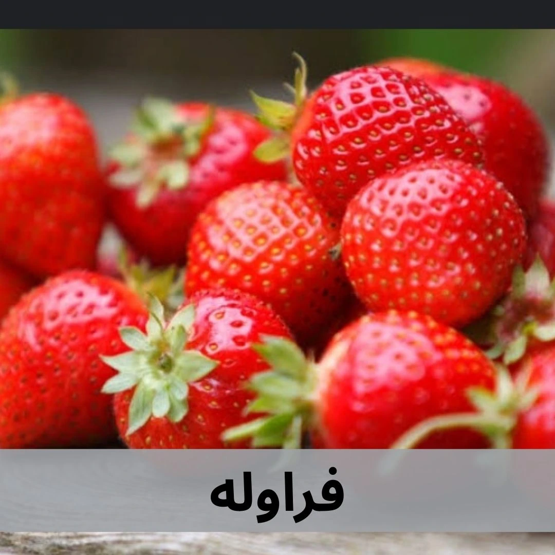 فراوله
