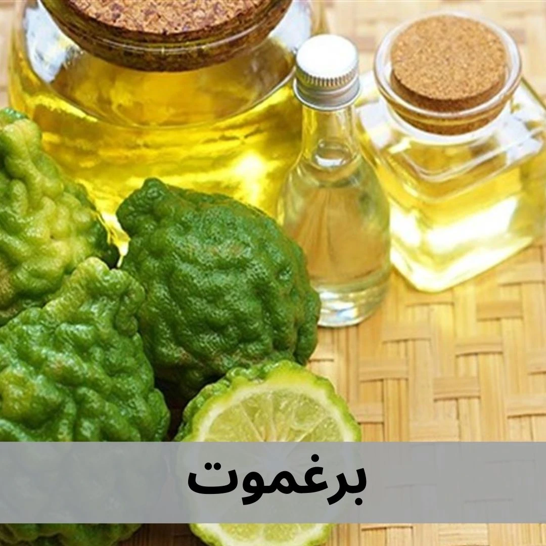 برغموت