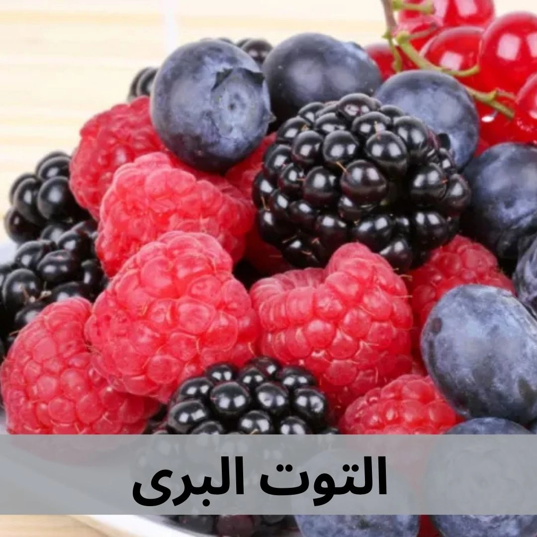 توت برى