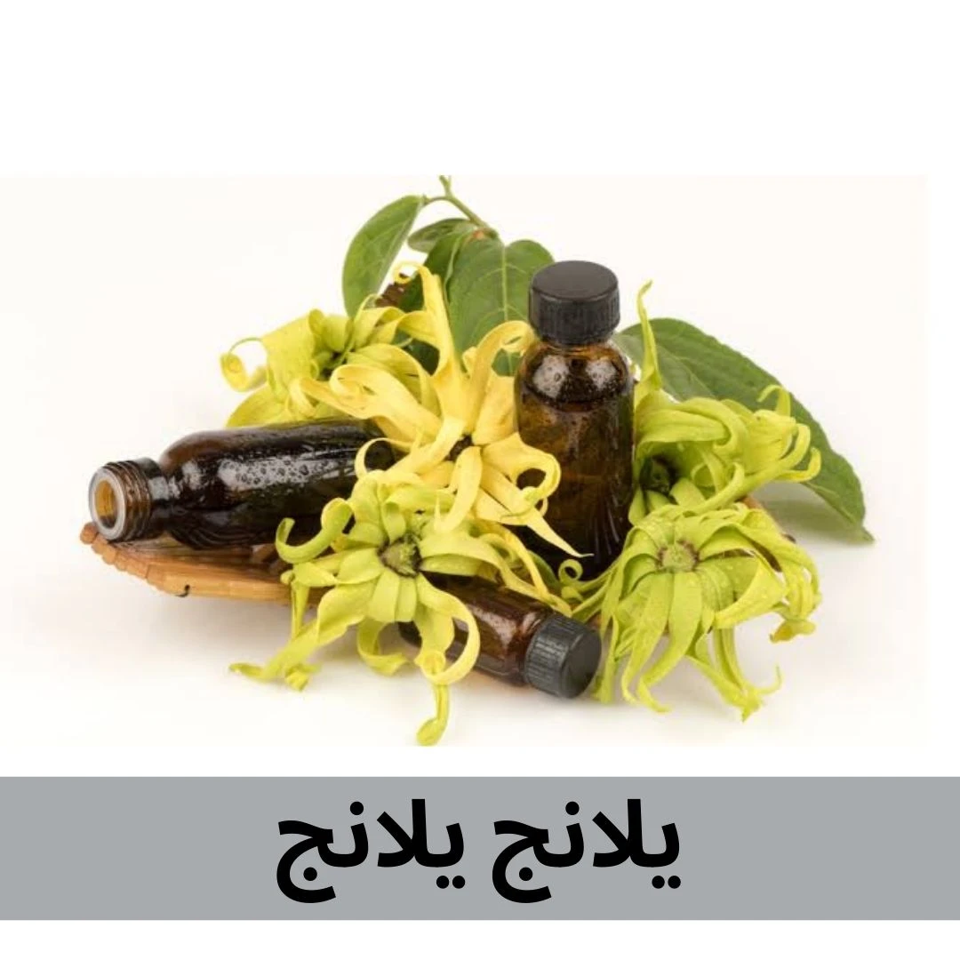 يلانج